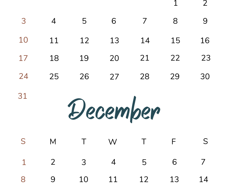 November and December 2024 Calendar